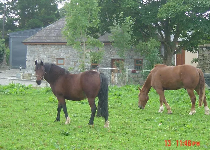Traditional Stone 300 Years+ Casa vacanze
