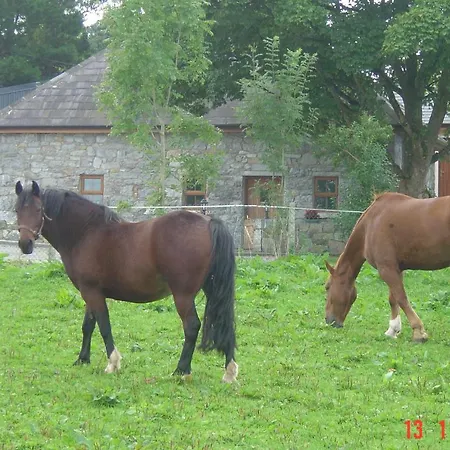 Traditional Stone 300 Years+ Casa de Férias